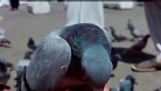 YA ALLAH