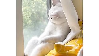 cats Sunday ko jaldi jag Jana jesay koom ko khitab Karna hai