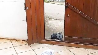 Retrospectiva Rio de janeiro
