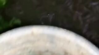 Ngasih makan lele DISATU TITIK❗ Bagaimana menurut kalian❓