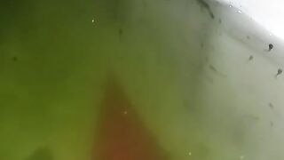 Larva lele umur 4 hari sedang bermain didinding kolam