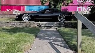 Black spr