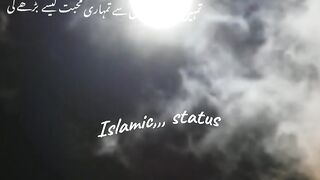 status,,,