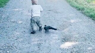 Crow Named Russell Waits For His Favorite Kid To Get Home From School