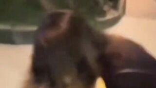 most funny video #funnyvideo #shorts #funny #shortclips