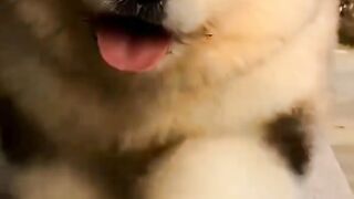 Woah so cute