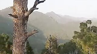 Hiking video