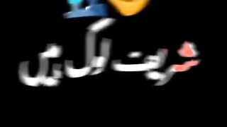 Saref log