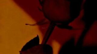 Status video shots