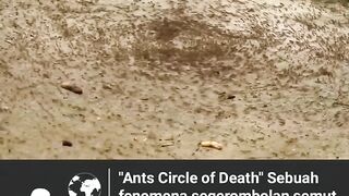 Circle of Death