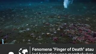 Finger of Death
