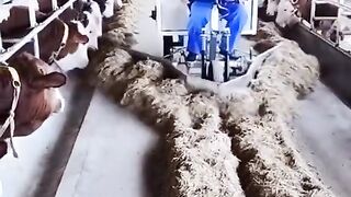 Manufacturing video