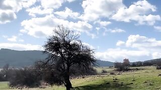 ПЛИОЦЕНСКИЯ ПАРК В ДОРКОВО