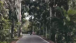 Bike amazing video