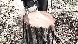 skills