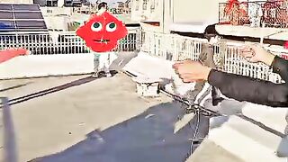Angry kite