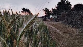 Part  beautiful ❤️ view in village weather
