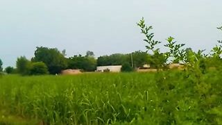 Village Life , Punjab , Pakistan