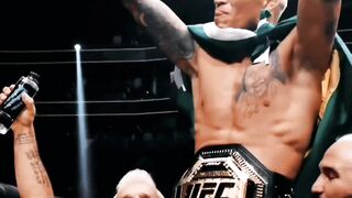 Boxer ????