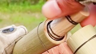 ابداع من الطبيعة