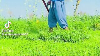 Very funny video comedy time