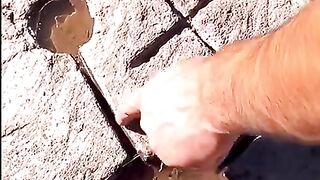 पत्थर के नीचे मीला खाजाना ????????