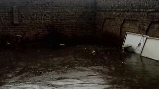 beauty nature video
