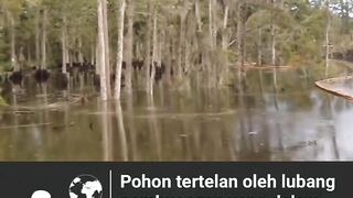 a sinkhole phenomenon