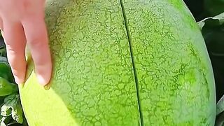 Mix Fruits ASMR