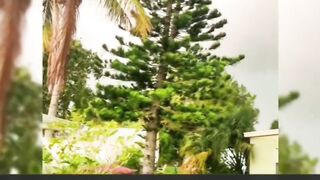 Thunderstorm