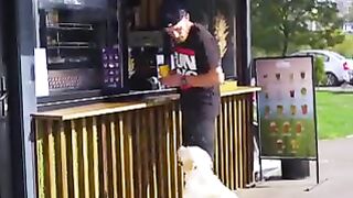 That's why dogs are the best friends ❤️????