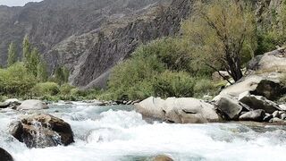 Viral video, subscribe please for more beautiful videos ❣️