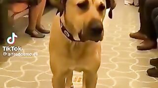 Amazing and bittersweet.