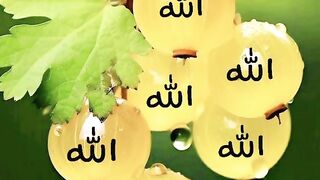 Love Allah||Subscribe karo viewers||# fb#febsport