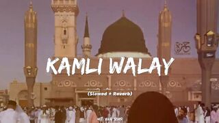 kamil wly Muhammed dddy sadqyy maa jaa