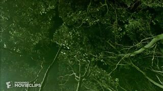 Man-Thing (2005) - Human Sacrifice Scene (8_11) _ Movieclips.