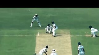 Funny review in cricket