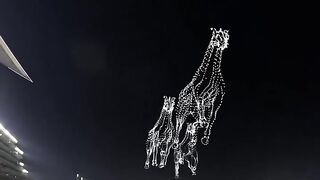 Flying horses spotted in dubai