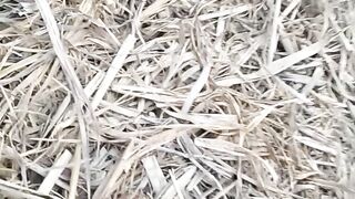 480 کی پاور دیکھیں