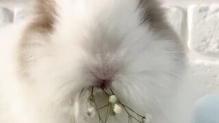 "Discovering Easter Traditions Worldwide"