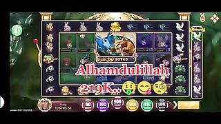 How to big win 3 patti blue game Zoo Roulette(360P