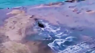 Miraculous nature'????