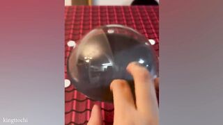 Funny Cat Videos of 2024 ????You Laugh You Lose#FunnyCats2024 #cats #funnycat #catvideo #cat #cats #cat2024 #kids #kidsvideo  # Kids