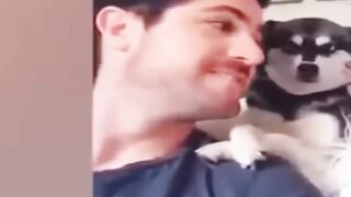 New Funny Videos 2024 Cutest Cats and Dogs