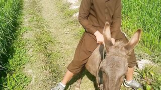 fun with donkey