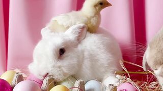 "Vibrant Easter Celebrations Around the Globe"