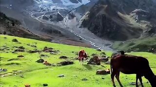 Beautiful ❤️❤️❤️ view of mountain
