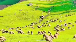 Pakistan beauty mountain natural