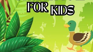 Learn the Alphabet - Letter D | A Fun Journey from A to Z for Kids