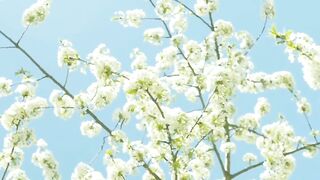 Hello spring